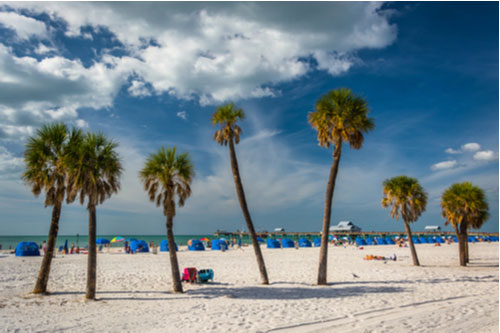 Palm trees on the beach in Clearwater Beach, Florida